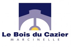 Bois du Cazier - logo