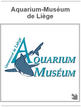 Aquarium-Muséum - Logo