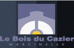 Bois du Cazier 2