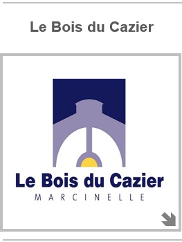 Bois du Cazier- logo1