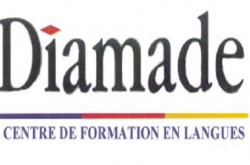 Diamade logo