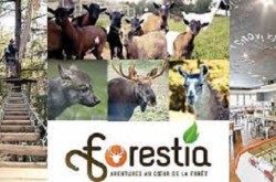 Forestia - image
